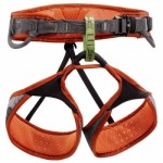 Men's climbing harness